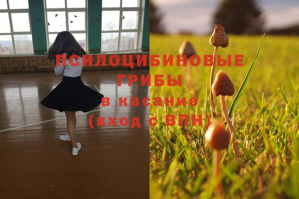 mdma Карпинск
