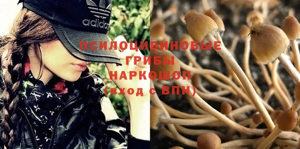 mdma Карпинск